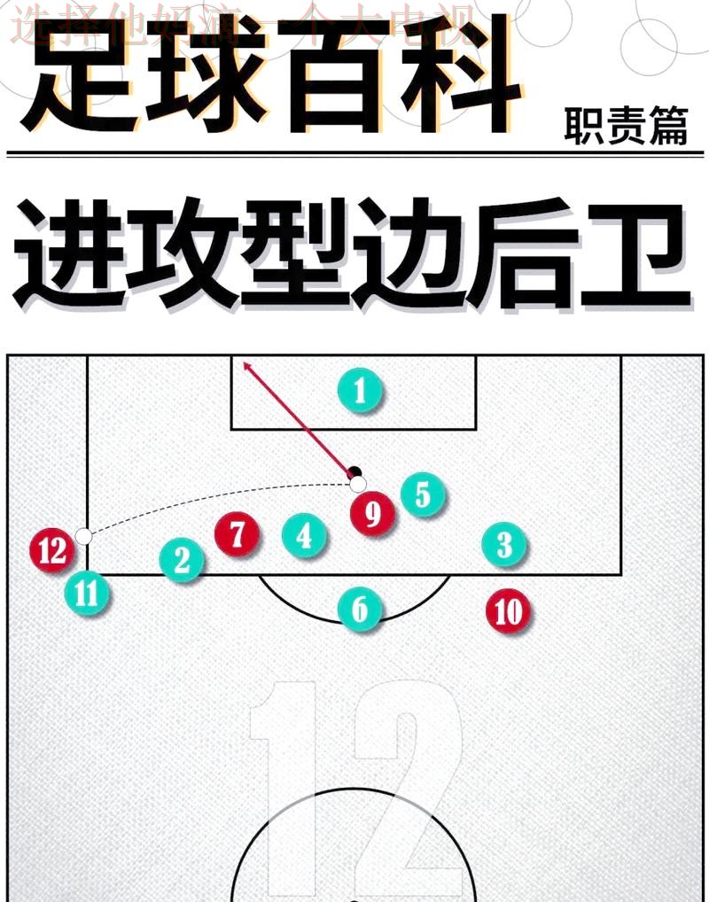 半岛体育综合版全方位解析