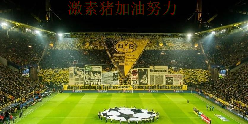 多特蒙德赛后发声震惊球迷